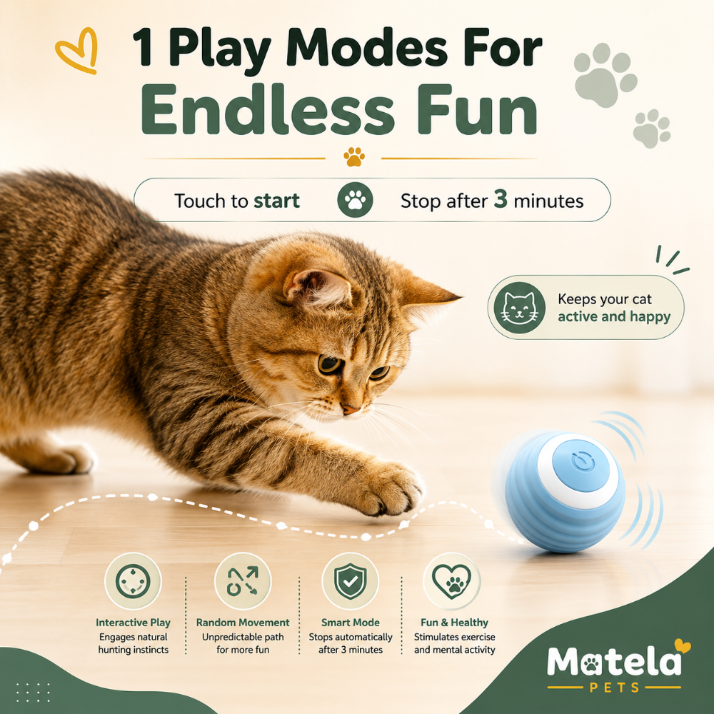 Smart Motion Ball – Interactive Cat Toy