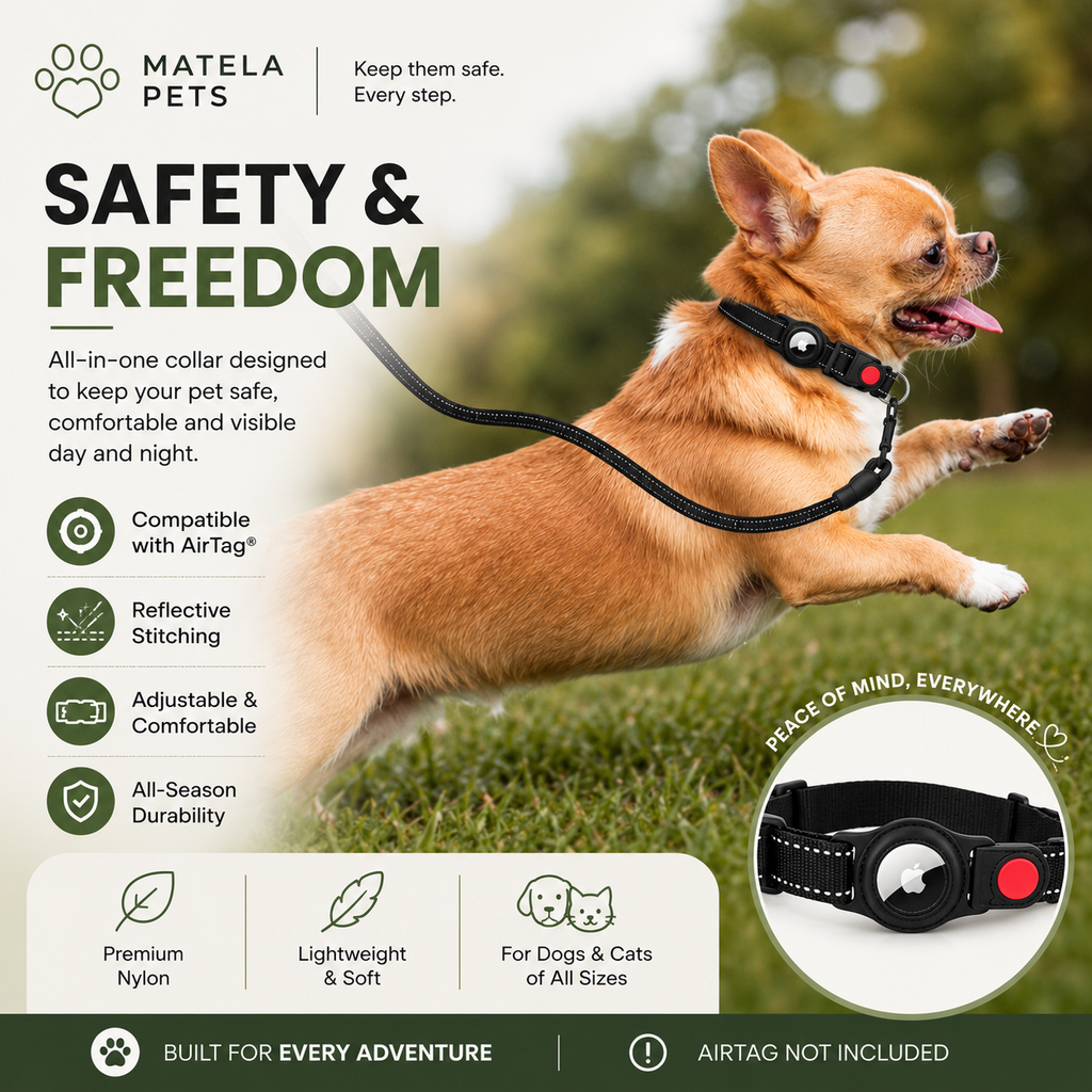Reflective AirTag Holder Collar for Dogs & Cats